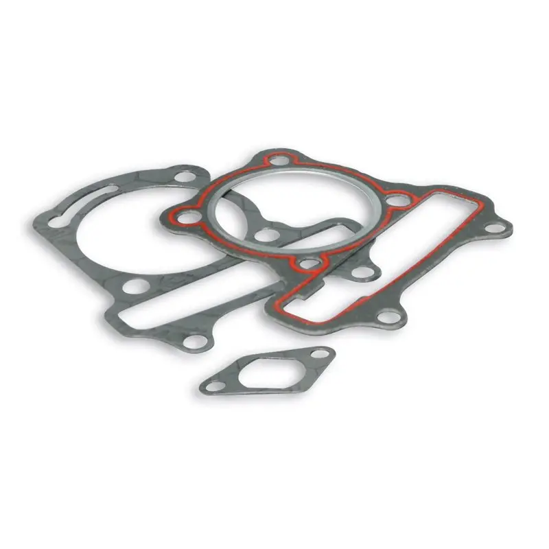 Malossi Gasket Kit 1