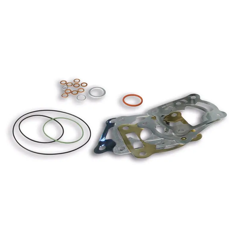 Malossi Gasket Kit 1