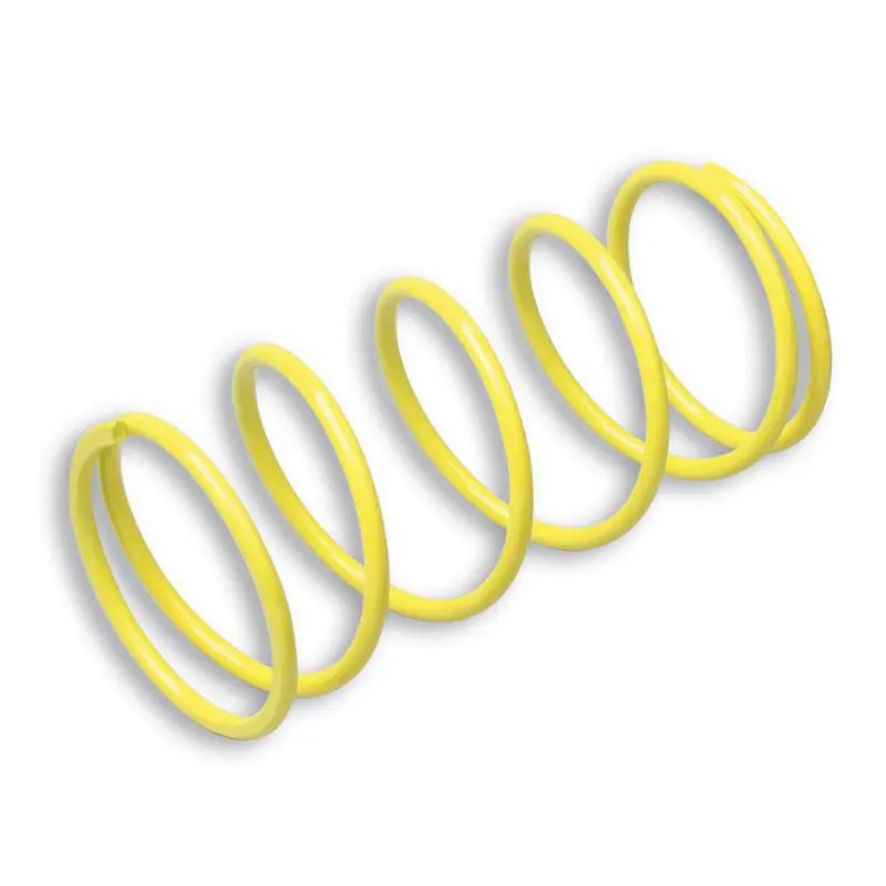 Malossi Variator Spring 1
