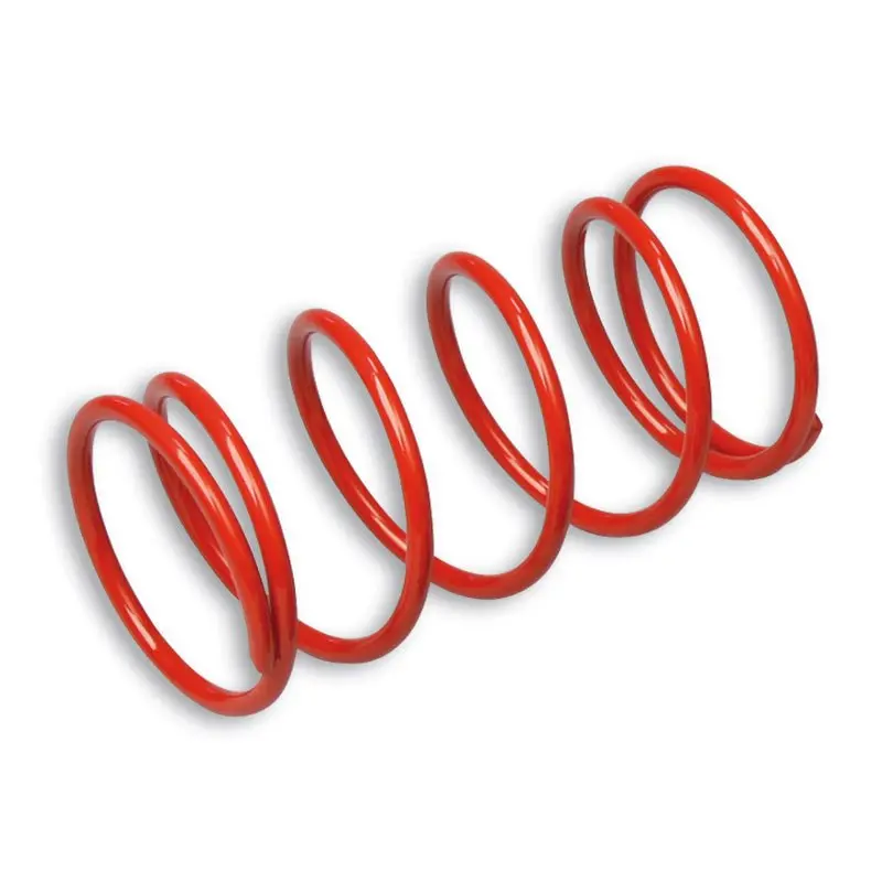 Malossi Variator Spring 1