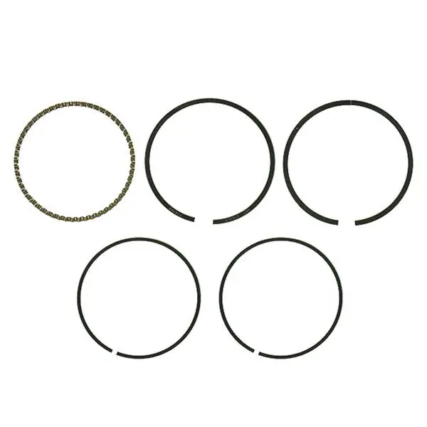 Namura Atv/Utv Piston Rings (Nx-10070R) 1
