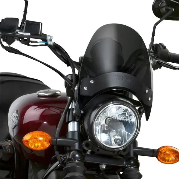 National Cycle Windshield Flyscreen Dsmk (N2531-002) 1
