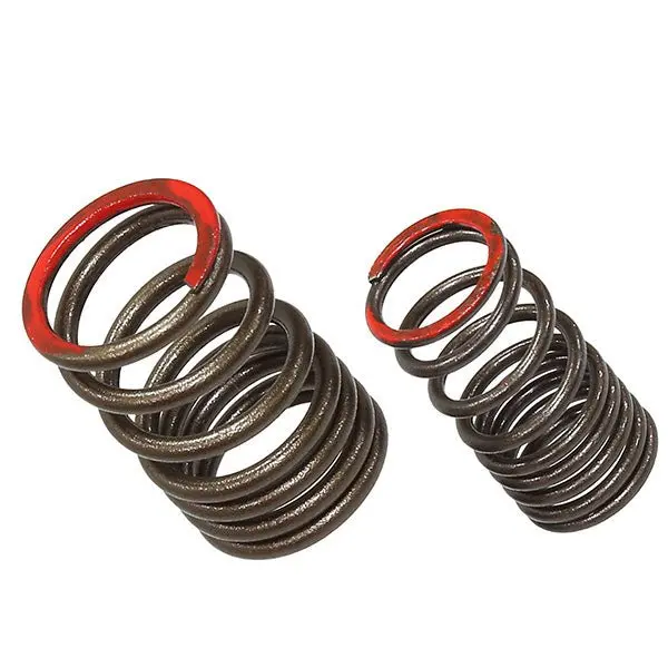 Psychic Exhaust Valve Spring (Xu-09561Es) 1
