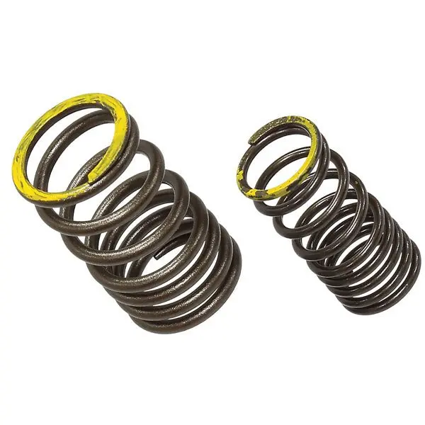 Psychic Exhaust Valve Spring (Xu-09563Es) 1