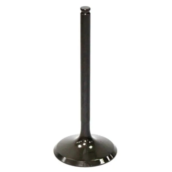 Psychic Intake Valve (Xu-09502I) 1