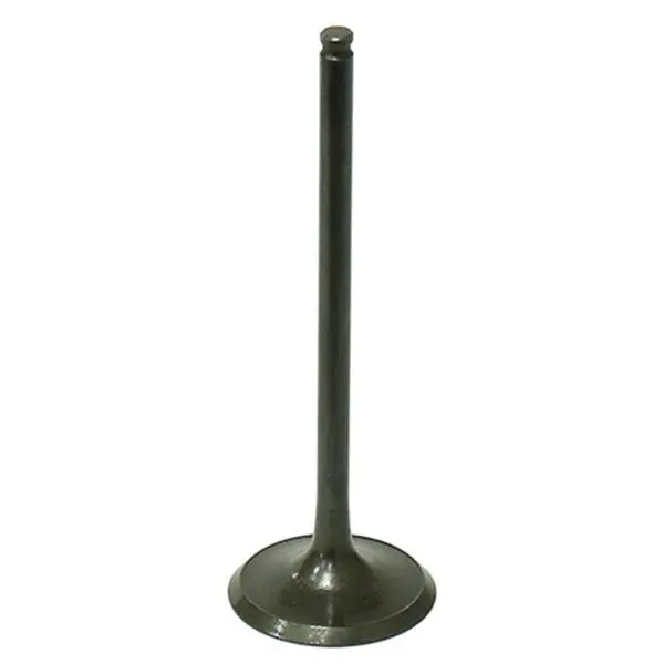 Psychic Intake Valve (Xu-09508I-1) 1