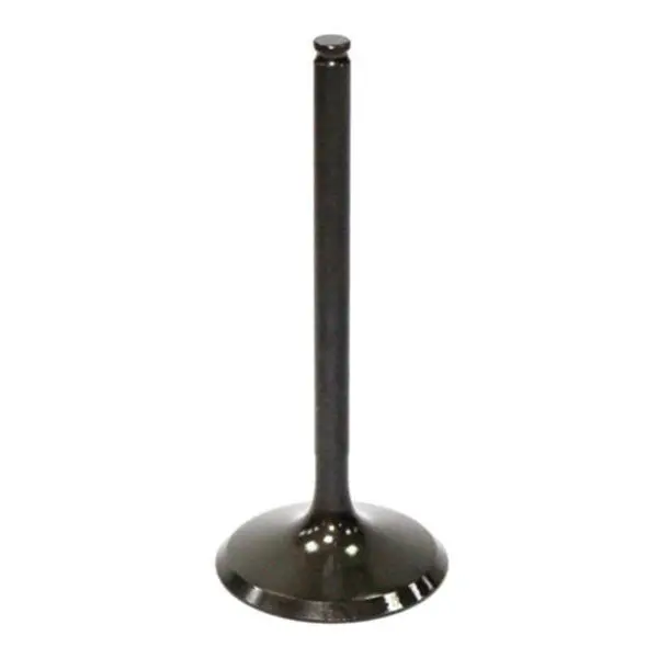 Psychic Intake Valve (Xu-09531I) 1