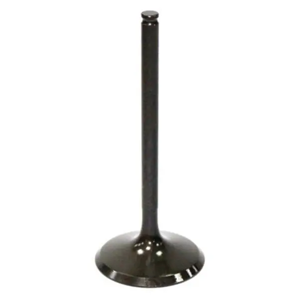 Psychic Intake Valve (Xu-09532I) 1