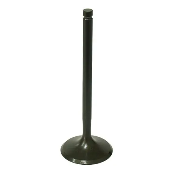 Psychic Intake Valve (Xu-09543I) 1