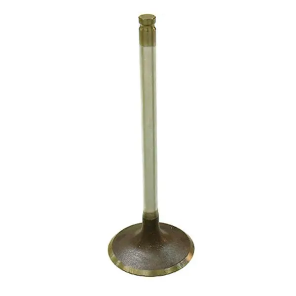 Psychic Intake Valve (Xu-09544I) 1