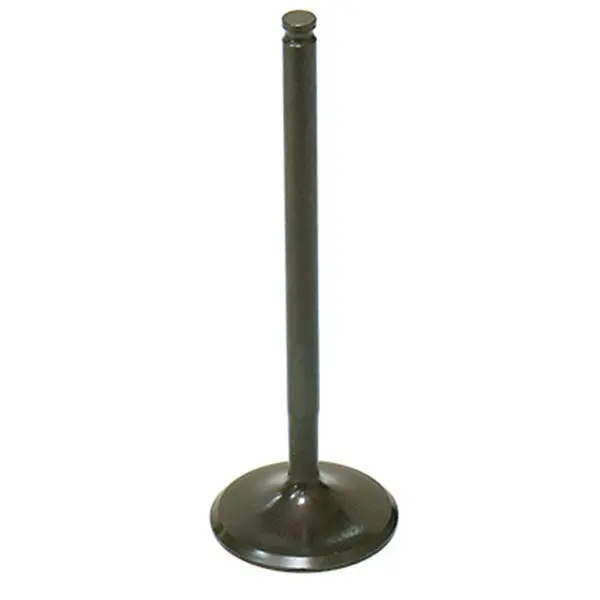 Psychic Intake Valve (Xu-09545I) 1