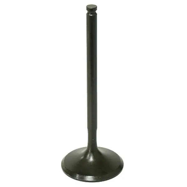 Psychic Intake Valve (Xu-09553I) 1