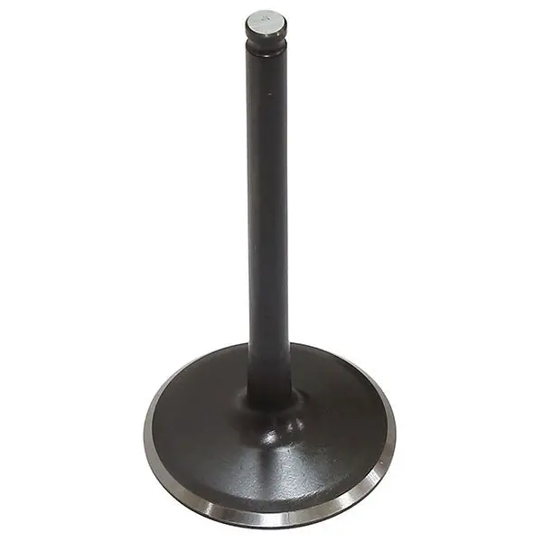 Psychic Intake Valve (Xu-09561I) 1