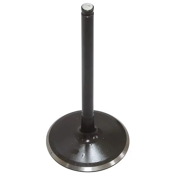 Psychic Intake Valve (Xu-09563I) 1