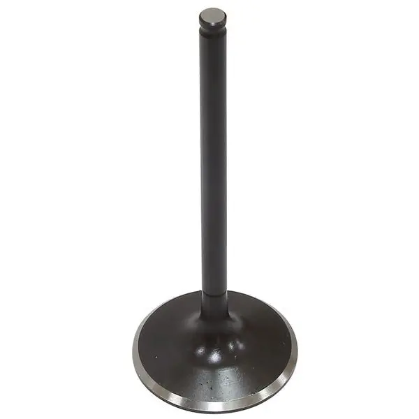 Psychic Intake Valve (Xu-09564I) 1