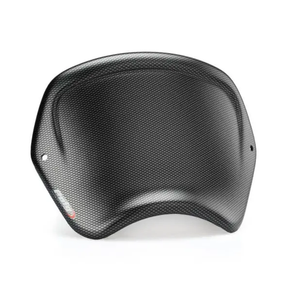 Puig Front Plate (Abs) Tri T100 18 Carbon 1