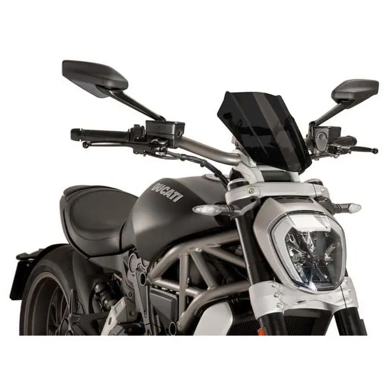 Puig Sport Windscreen (Ducati) Dark Smoke 1