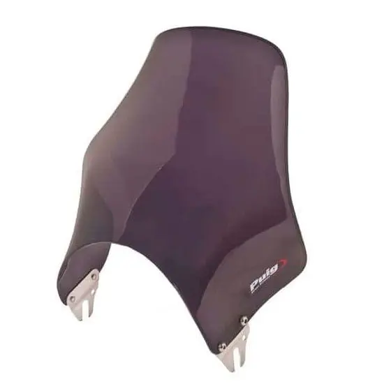 Puig Windshield Naked Dsmk Kawa (0869F) 1