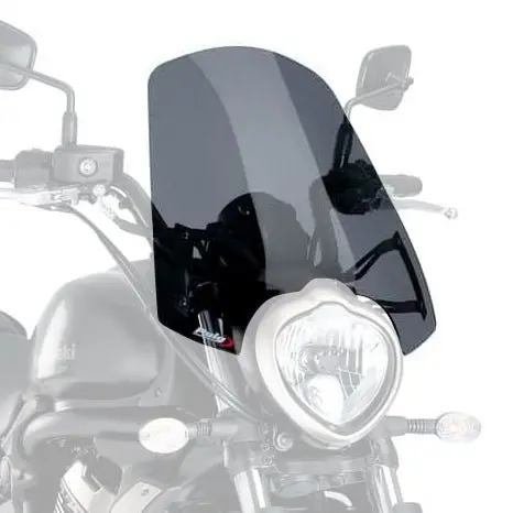 Puig Windshield Naked Ng Dsmk Kawa (8164F) 1