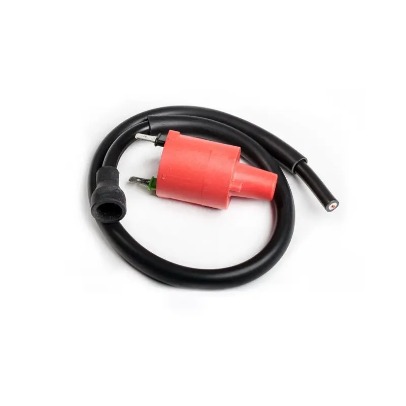 Rick's Motorsport Electric Ignition Coil 1