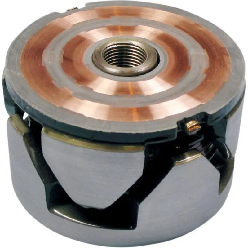 Rick's Motorsport Electric Rotor 1