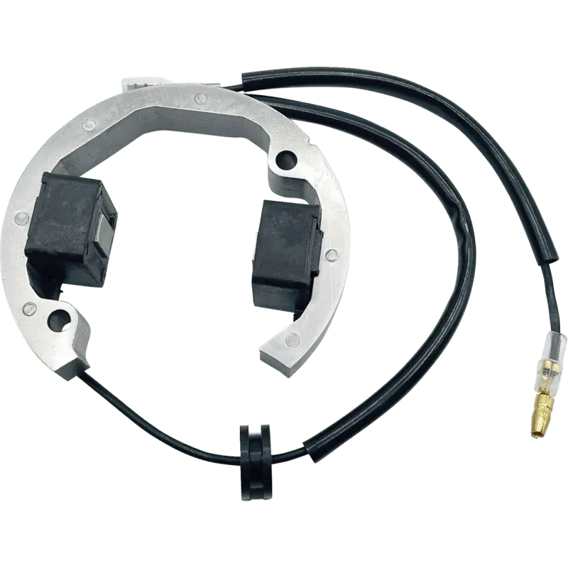 Rick's Motorsport Electric Stator 1