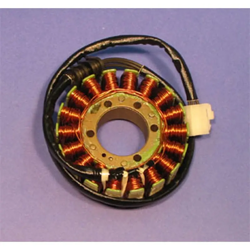 Rick's Motorsport Electric Stator 1