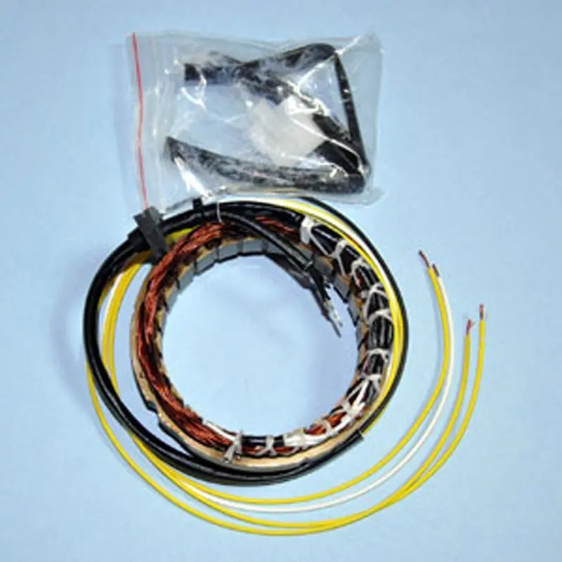 Rick's Motorsport Electric Stator 1