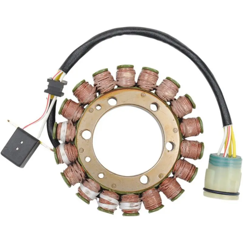 Rick's Motorsport Electric Stator 1