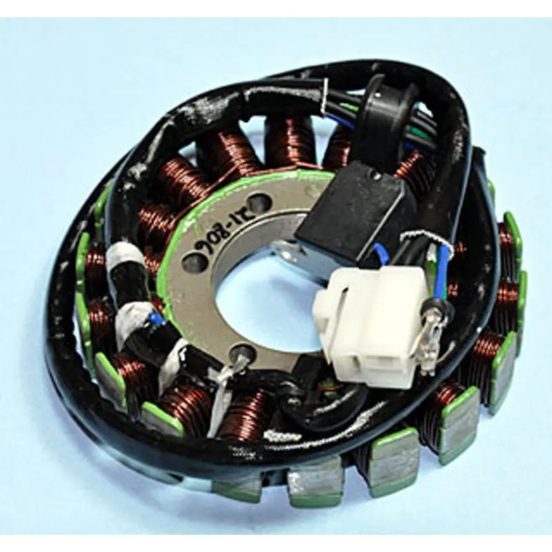 Rick's Motorsport Electric Stator 1