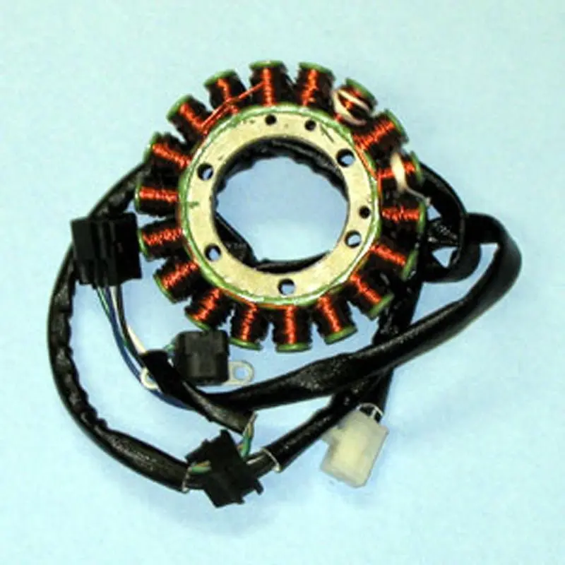 Rick's Motorsport Electric Stator 1