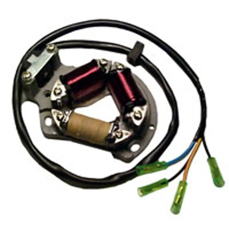 Rick's Motorsport Electric Stator 1