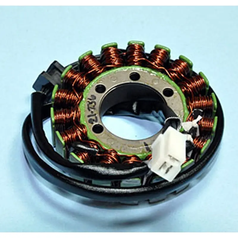 Rick's Motorsport Electric Stator 1