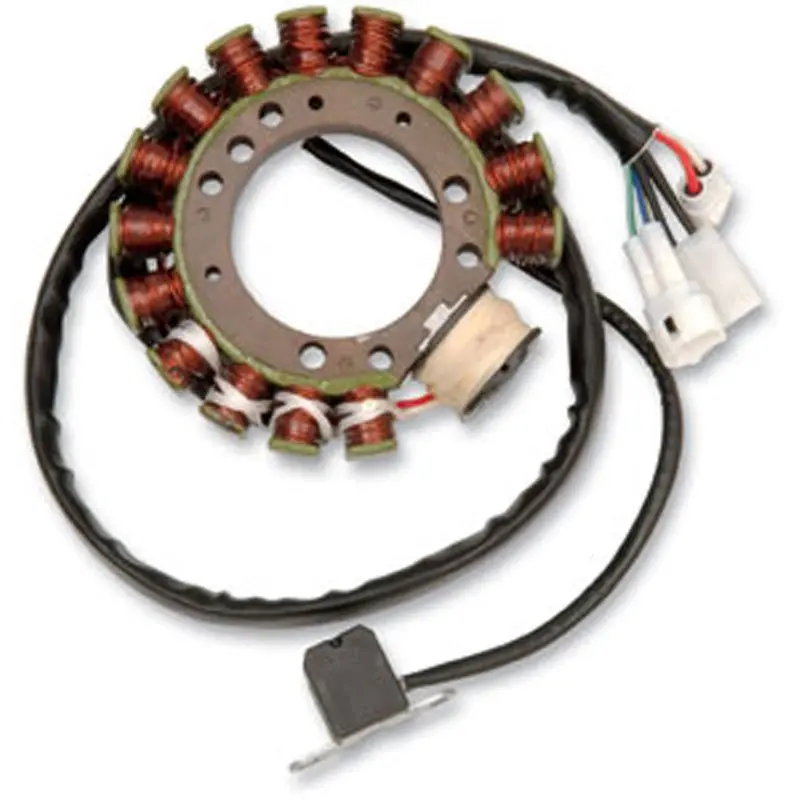 Rick's Motorsport Electric Stator 1