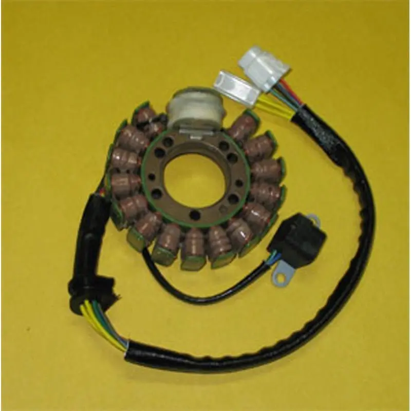Rick's Motorsport Electric Stator 1