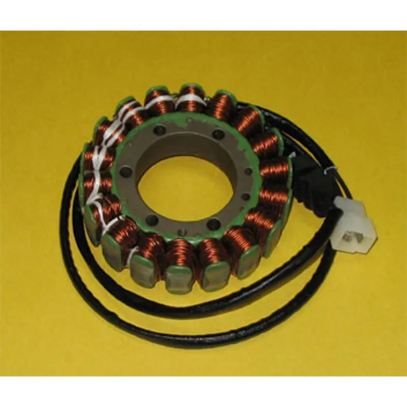 Rick's Motorsport Electric Stator 1