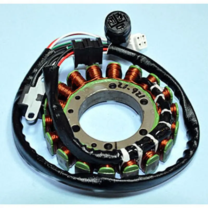Rick's Motorsport Electric Stator 1