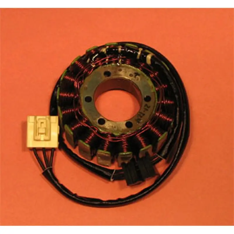 Rick's Motorsport Electric Stator 1