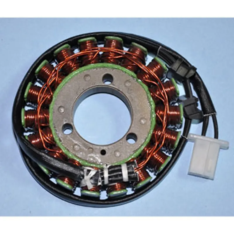 Rick's Motorsport Electric Stator 1