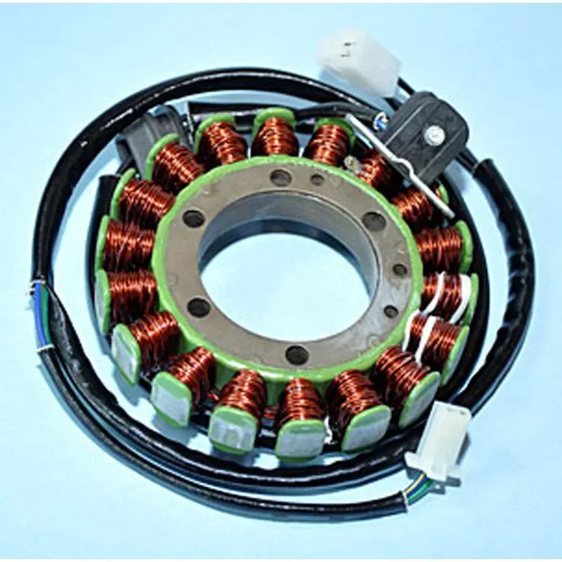 Rick's Motorsport Electric Stator 1