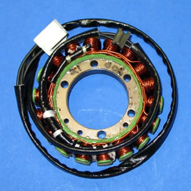 Rick's Motorsport Electric Stator 1