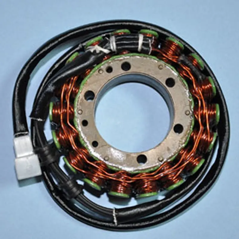 Rick's Motorsport Electric Stator 1
