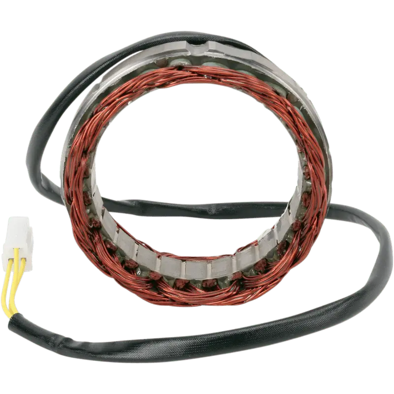 Rick's Motorsport Electric Stator 1
