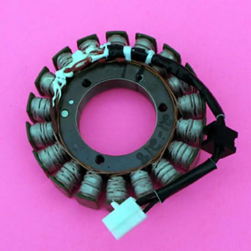 Rick's Motorsport Electric Stator 1