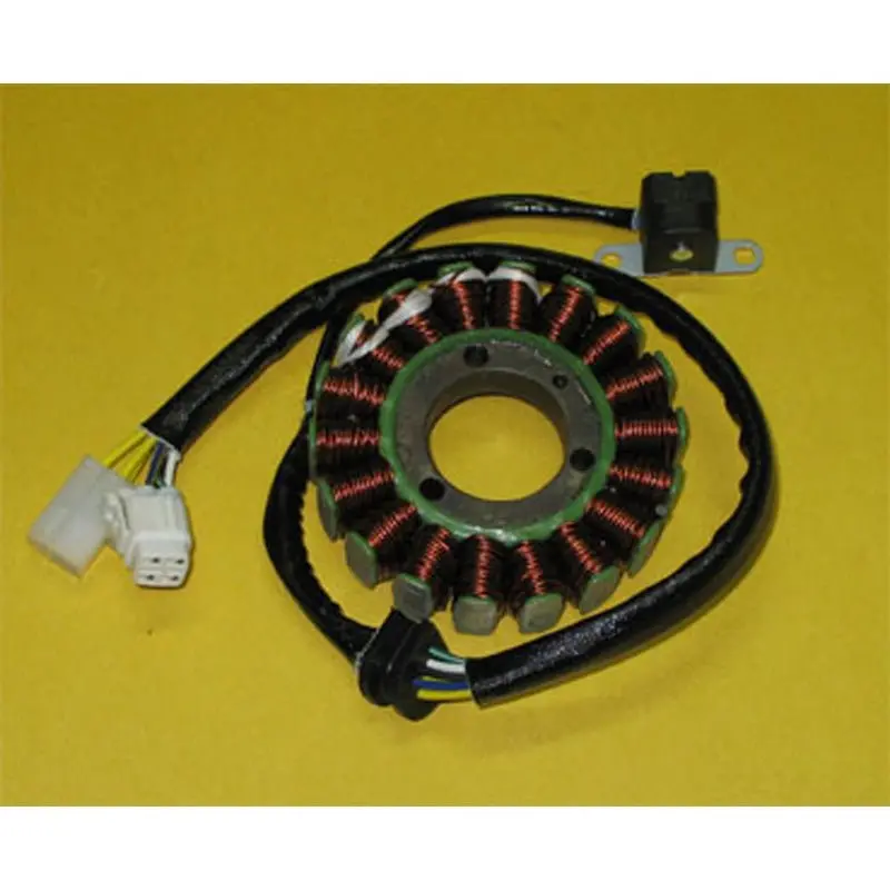 Rick's Motorsport Electric Stator 1