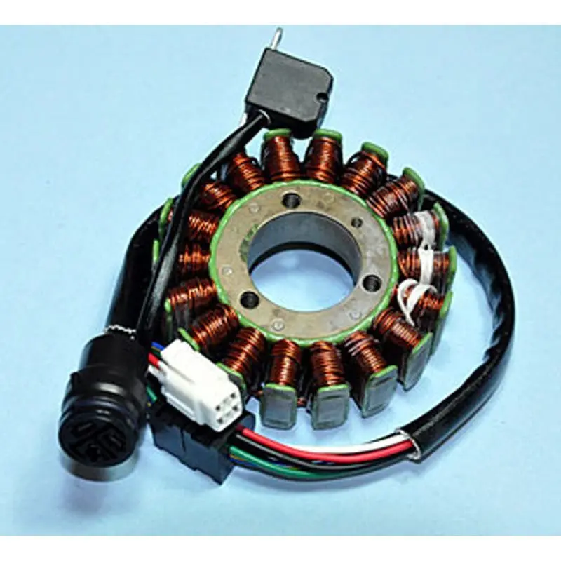 Rick's Motorsport Electric Stator 1