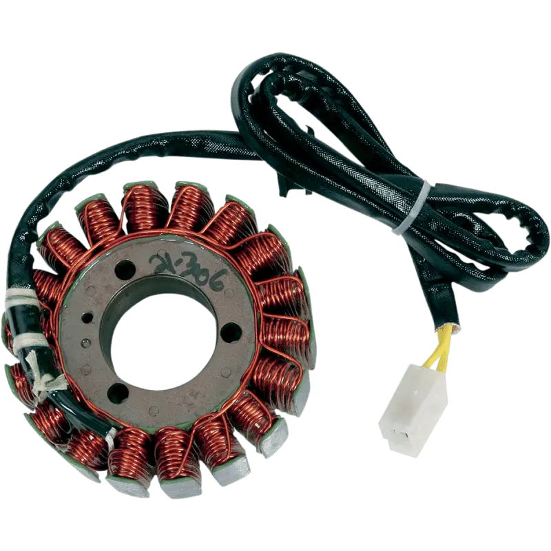 Rick's Motorsport Electric Stator 1