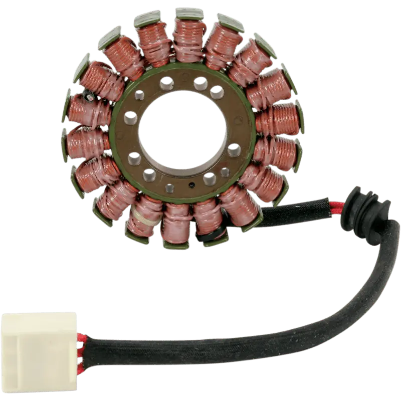 Rick's Motorsport Electric Stator 1