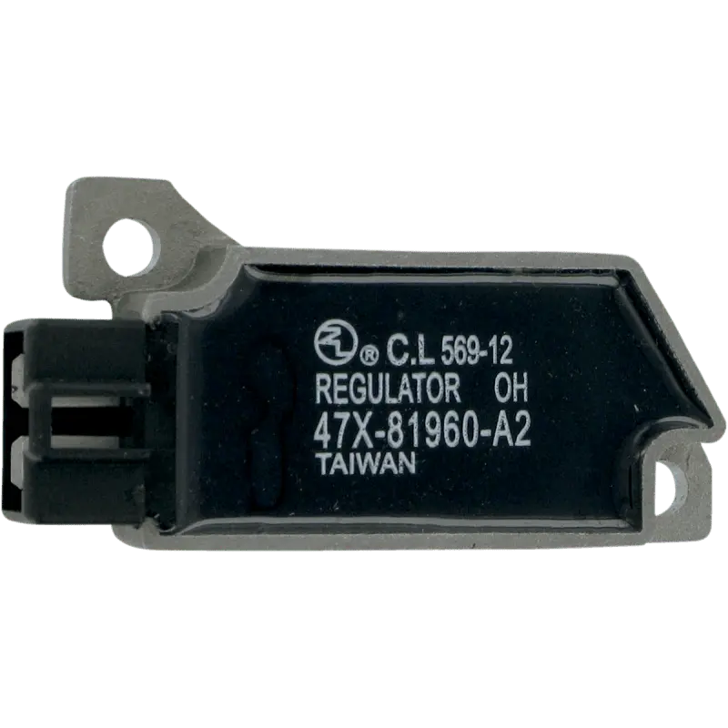 Rick's Motorsport Electric Voltage Regulator 1