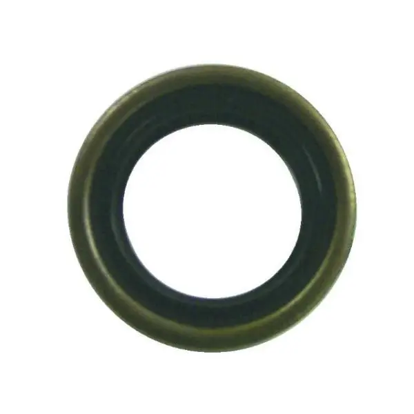 Sierra Oil Seal 1